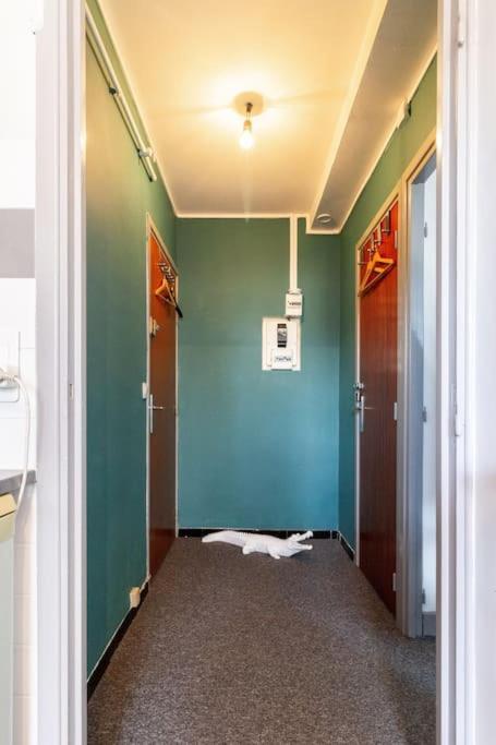 La Chambre Des Secrets / Parking / Wifi Toulouse Kültér fotó
